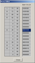 Example window: Binary Editory